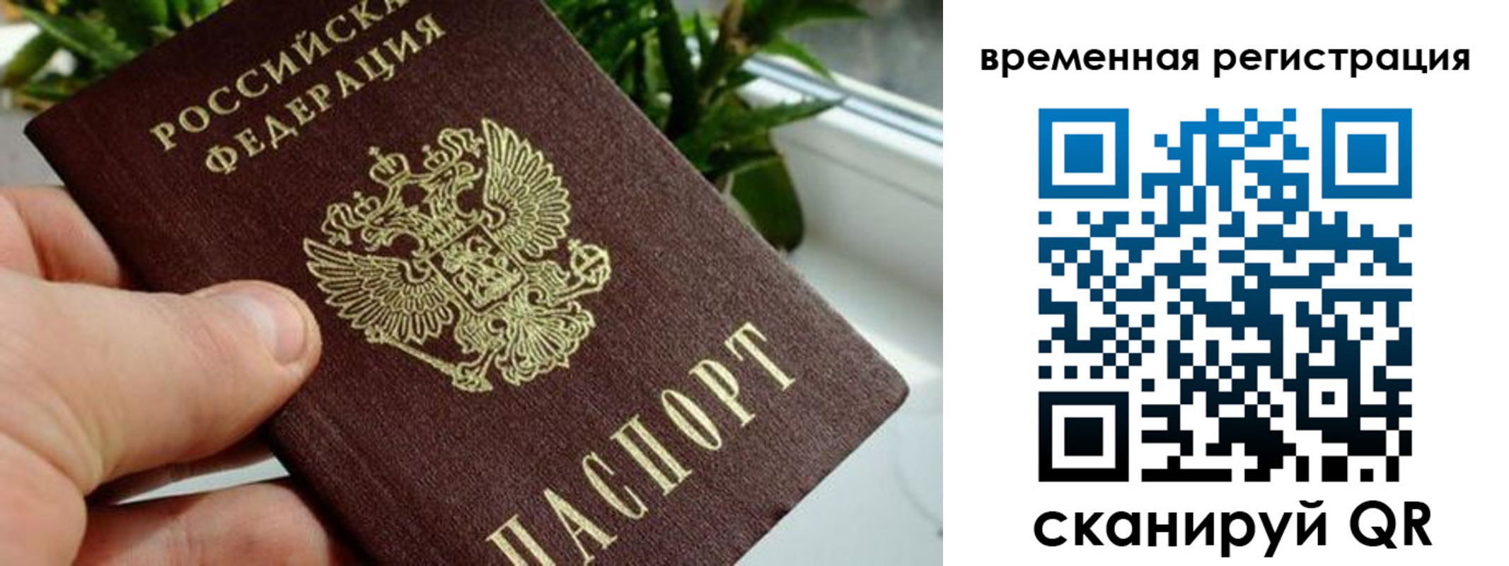 прописка поиск в Гороховце